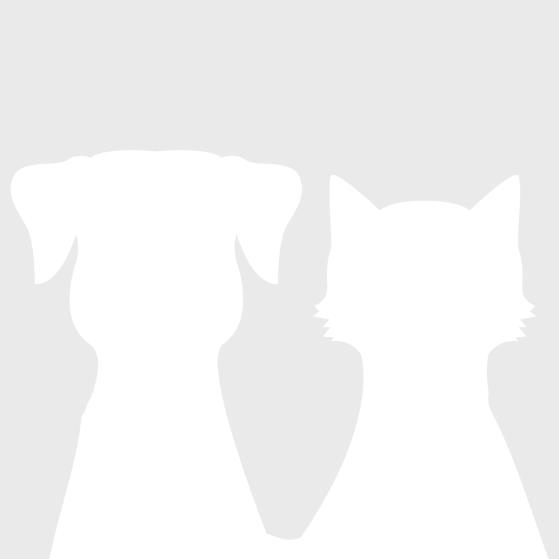 Des naissances sont prévues sur ce mois d'avril 2026