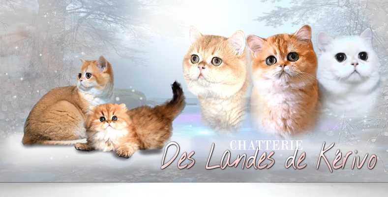 Chatterie des Landes de Kérivo